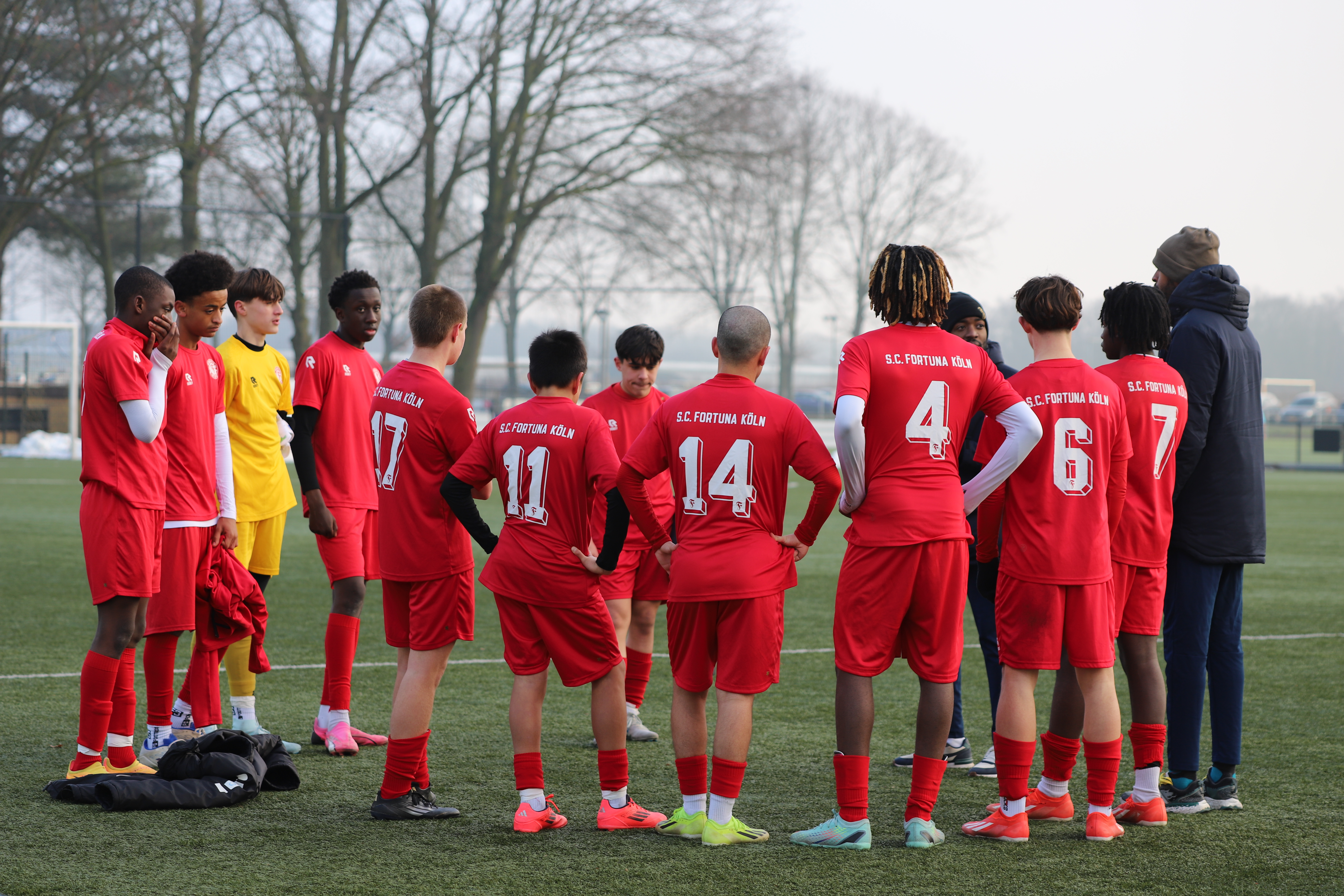 Просмотры в академии